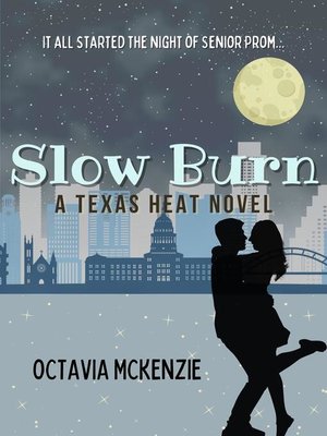 cover image of Slow Burn